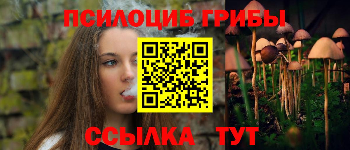 Галлюциногенные грибы прущие грибы Унеча