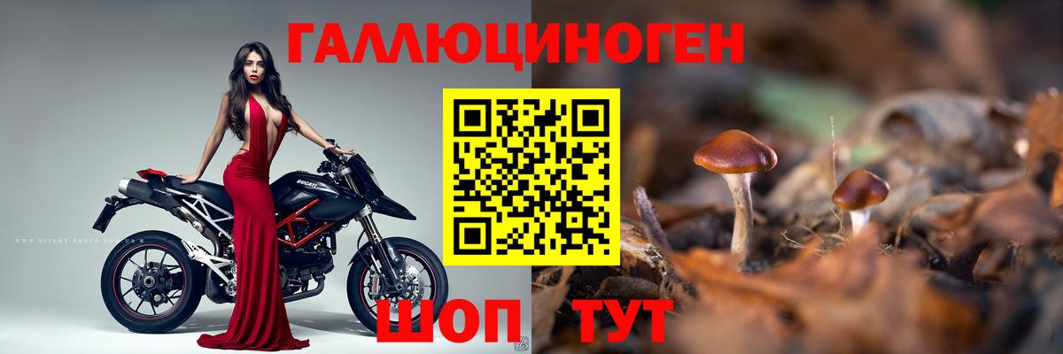 Унеча  Галлюциногенные грибы MAGIC MUSHROOMS  Вход с VPN  Галлюциногенные грибы Psilocybe 